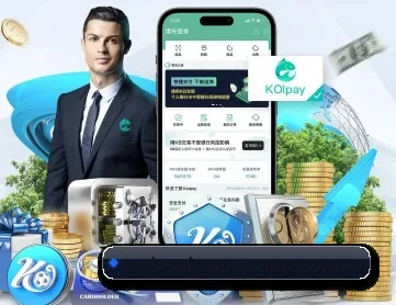 mk体育 APP